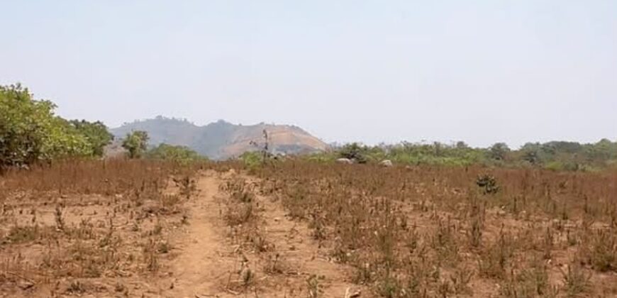 The Crest, Katampe Hill Top